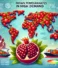 Why Indian Pomegranates Are a Global Favorite 🌎