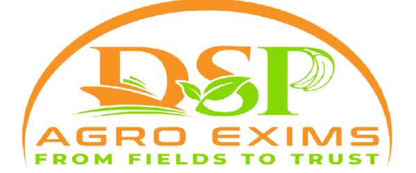 dsp logo